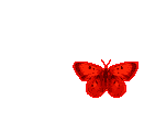 смайлик#156182 Бабочки