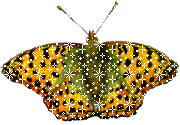 смайлик#156202 Бабочки