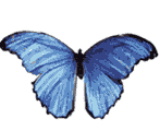 смайлик#156203 Бабочки