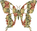 смайлик#156204 Бабочки