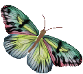 смайлик#156211 Бабочки