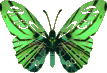 смайлик#156260 Бабочки