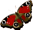 смайлик#156360 Бабочки