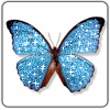 смайлик#156439 Бабочки