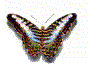 смайлик#156482 Бабочки
