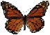 смайлик#156493 Бабочки