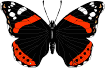 смайлик#156495 Бабочки