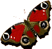 смайлик#156153 Бабочки