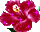 смайлик#158388 Цветы
