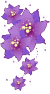 смайлик#157200 Цветы