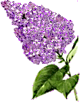 смайлик#157313 Цветы