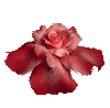 смайлик#156931 Цветы