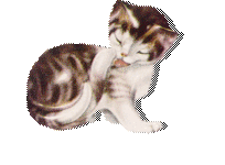 смайлик#166201 Кошечки