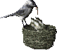 смайлик#207815 Птицы