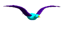 смайлик#208529 Птицы
