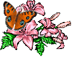 смайлик#156095 Бабочки