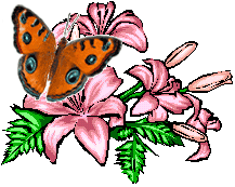 смайлик#156300 Бабочки