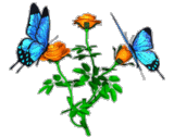 смайлик#156549 Бабочки