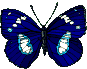 смайлик#156670 Бабочки