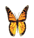 смайлик#156715 Бабочки