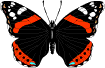 смайлик#156717 Бабочки