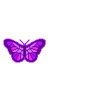 смайлик#156739 Бабочки