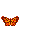 смайлик#156740 Бабочки