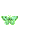 смайлик#156761 Бабочки