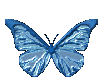 смайлик#156774 Бабочки