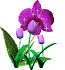 смайлик#158152 Цветы