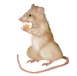 смайлик#207528 Мышки