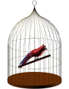 смайлик#208026 Птицы